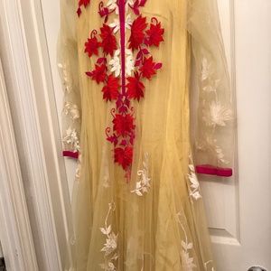 Designer Embroidered Salwar/Shalwar Kameez XL